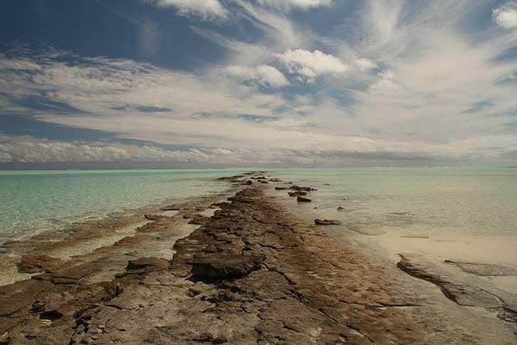 Cook Islands on a budget